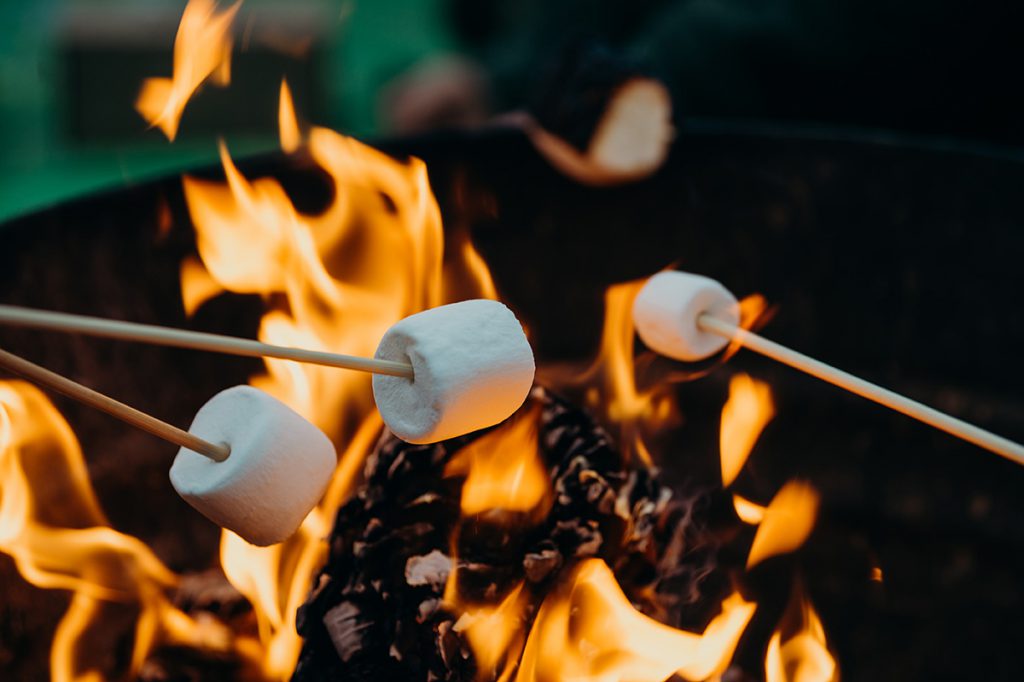 Marshmallows on sticks in a campfire